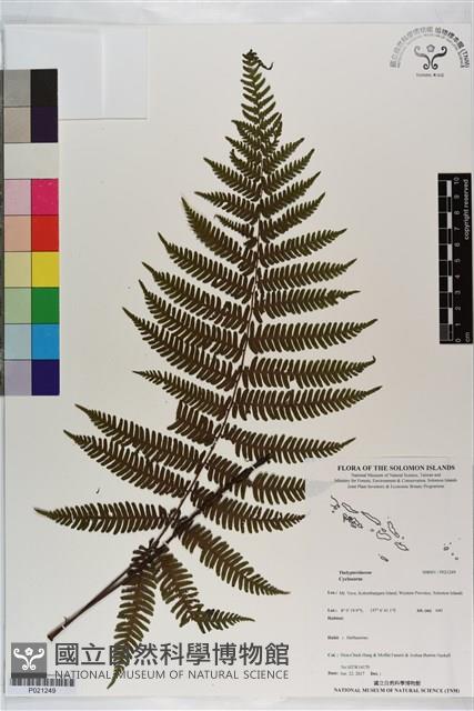 登錄號:P021249藏品圖，第1張