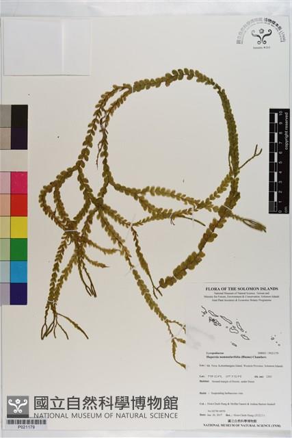 登錄號:P021179藏品圖，第1張