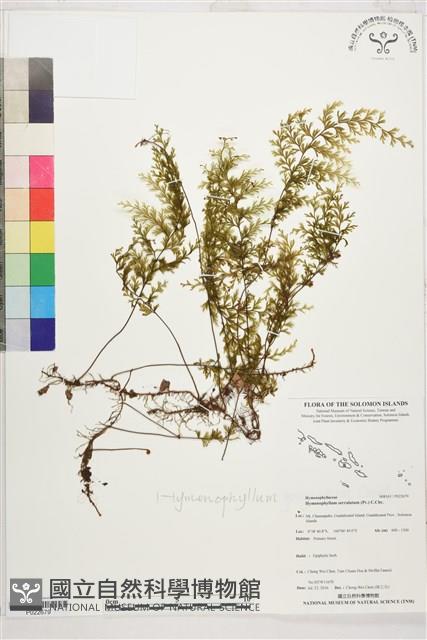 登錄號:P022679藏品圖，第1張