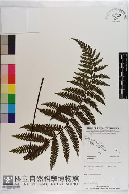 登錄號:P021189藏品圖，第1張