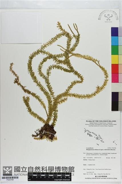 登錄號:P020789藏品圖，第1張