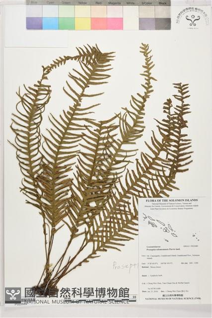 登錄號:P022689藏品圖，第1張