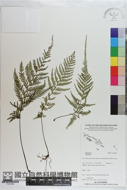 登錄號:P021689藏品圖，第1張