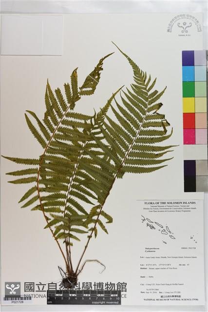 登錄號:P021728藏品圖，第1張