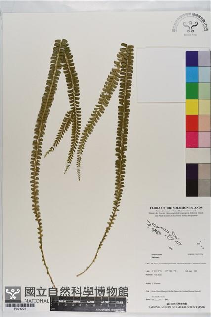 登錄號:P021228藏品圖，第1張