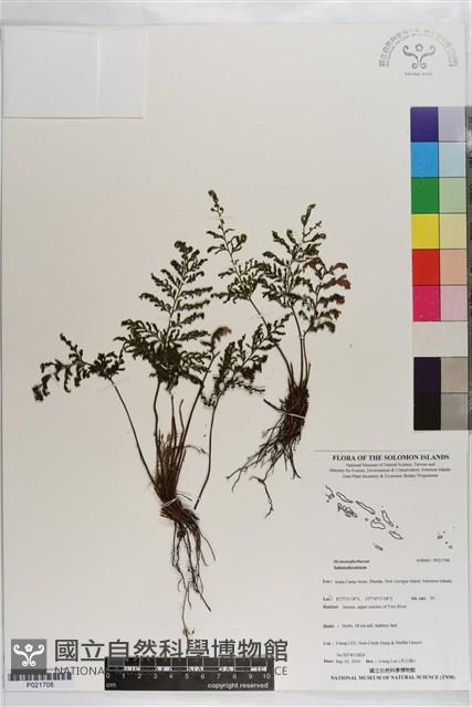 登錄號:P021708藏品圖，第1張