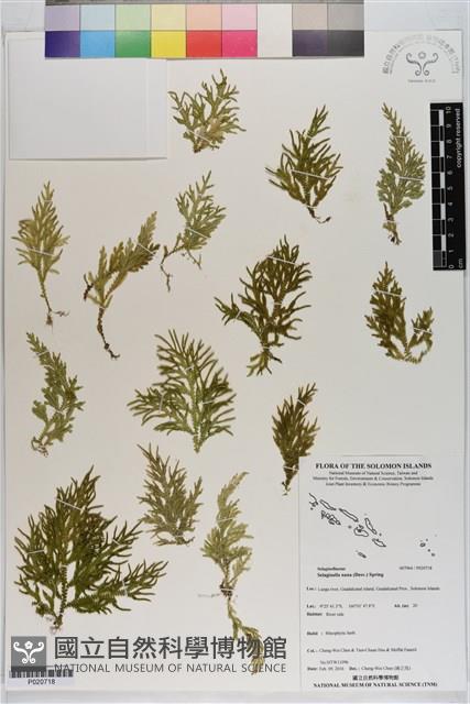 登錄號:P020718藏品圖，第1張