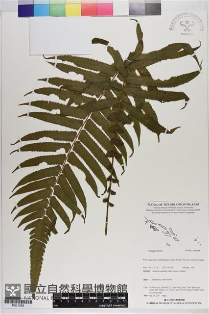 登錄號:P021058藏品圖，第1張