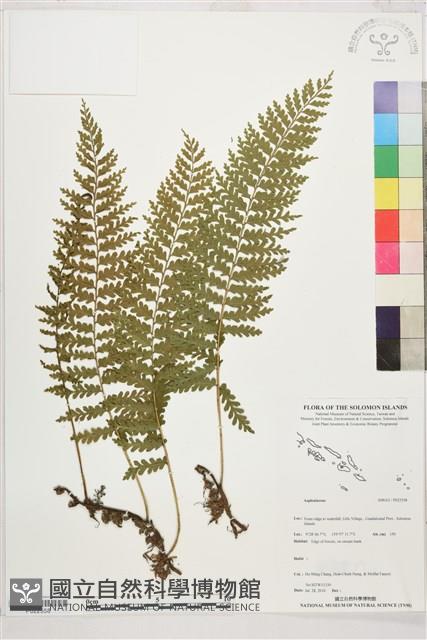 登錄號:P022558藏品圖，第1張