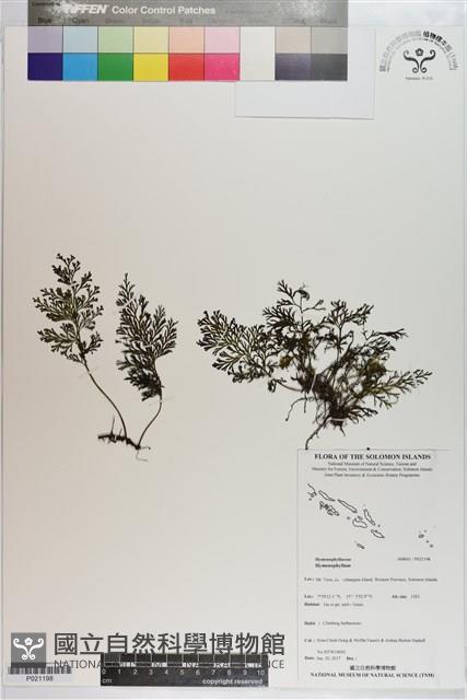 登錄號:P021198藏品圖，第1張