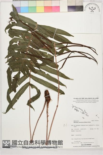 登錄號:P022638藏品圖，第1張