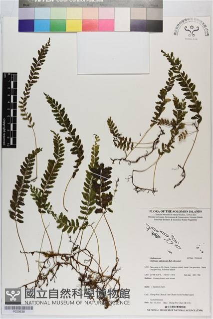 登錄號:P020638藏品圖，第1張