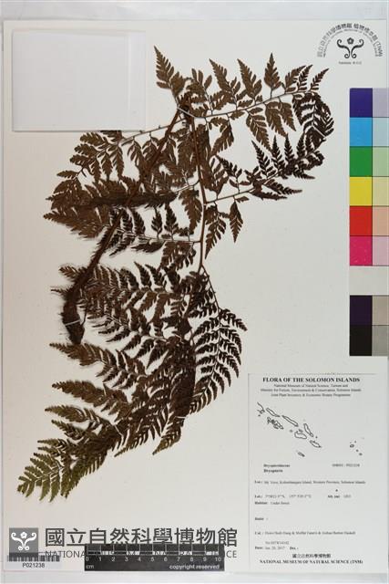 登錄號:P021238藏品圖，第1張