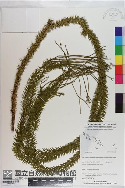 登錄號:P021068藏品圖，第1張