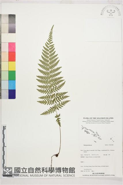 登錄號:P022568藏品圖，第1張