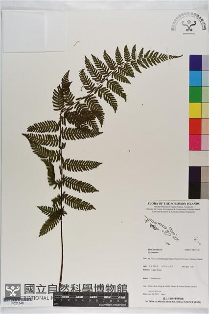 登錄號:P021248藏品圖，第1張