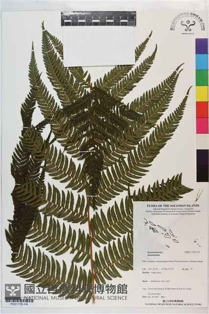 登錄號:P021178藏品圖，第1張