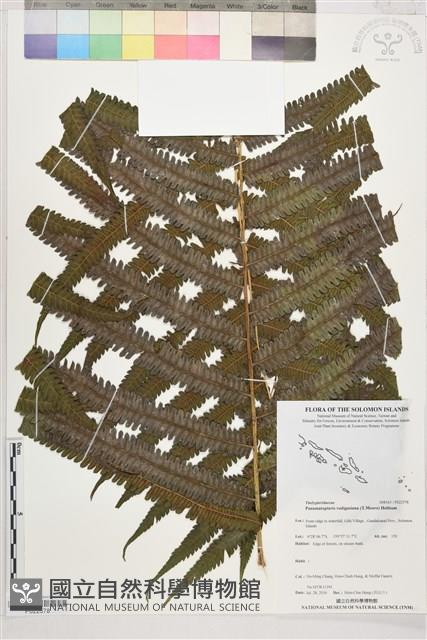 登錄號:P022578藏品圖，第1張