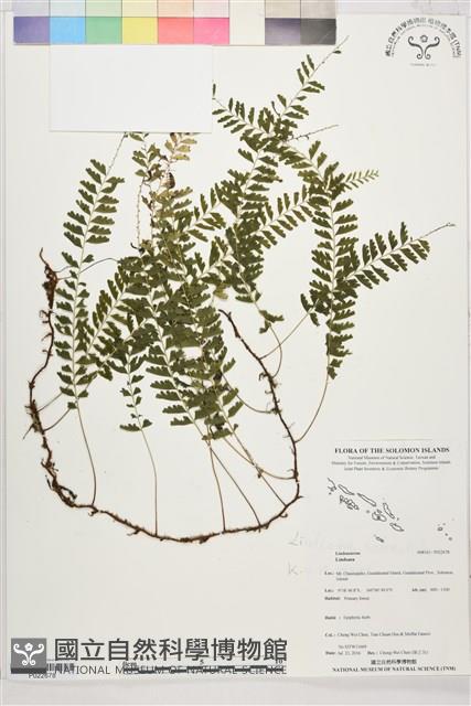 登錄號:P022678藏品圖，第1張