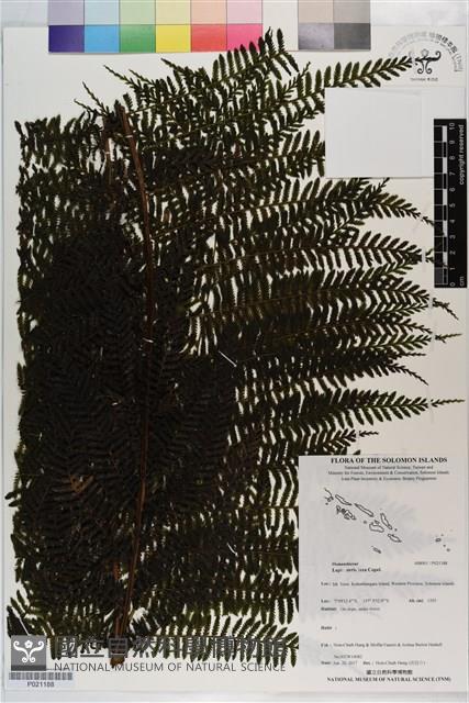 登錄號:P021188藏品圖，第1張