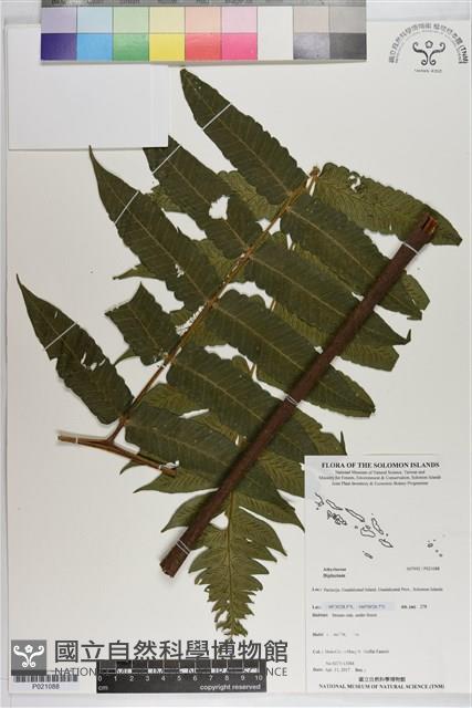 登錄號:P021088藏品圖，第1張