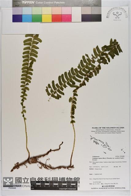 登錄號:P020688藏品圖，第1張