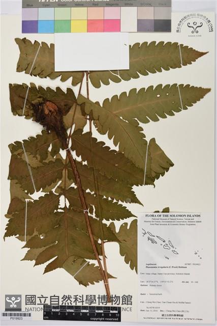 登錄號:P019923藏品圖，第1張