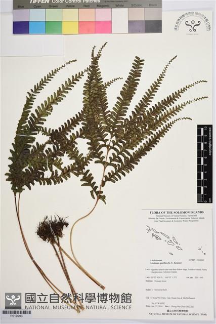 登錄號:P019993藏品圖，第1張