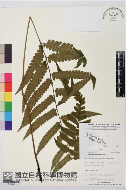 登錄號:P019933藏品圖，第1張