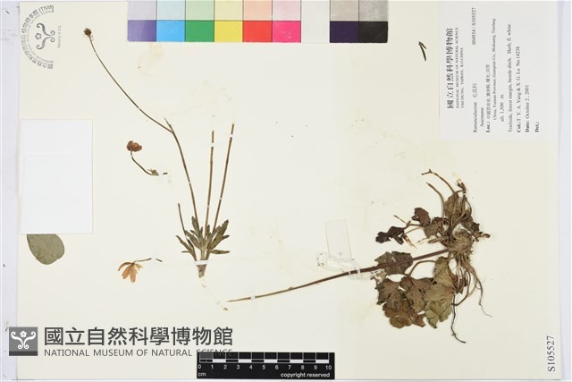 登錄號:S105527藏品圖，第1張