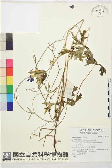 登錄號:S137407藏品圖，第1張