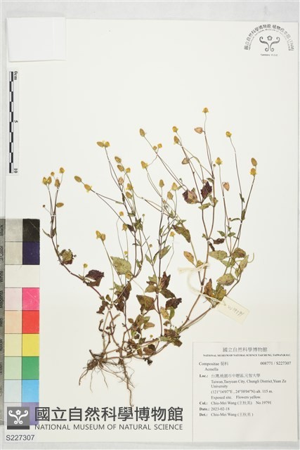 登錄號:S227307藏品圖，第1張