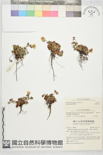 登錄號:S157117藏品圖，第1張