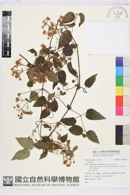 登錄號:S105537藏品圖，第1張