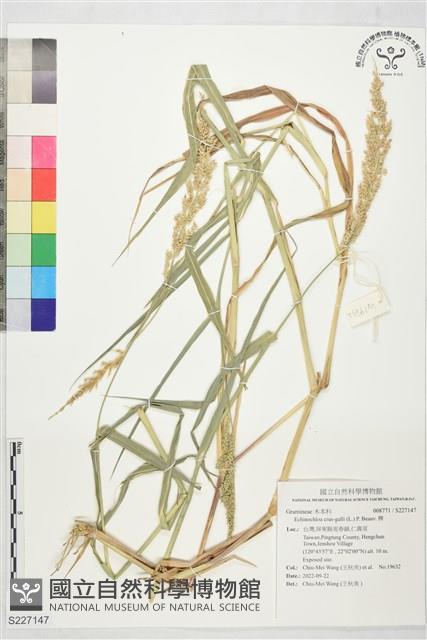 稗藏品圖，第1張