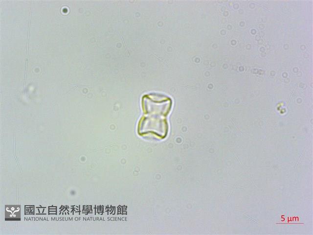 高山倒提壺藏品圖，第2張