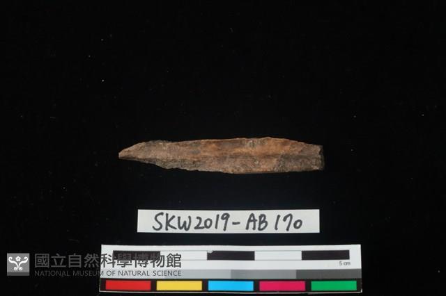 獸骨藏品圖，第5張