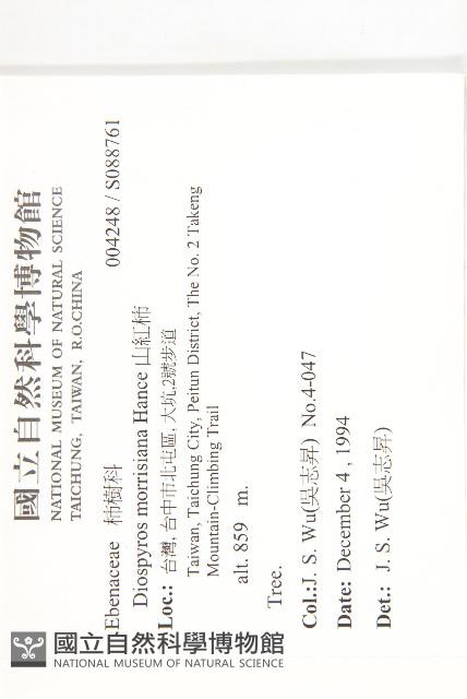 山紅柿藏品圖，第4張