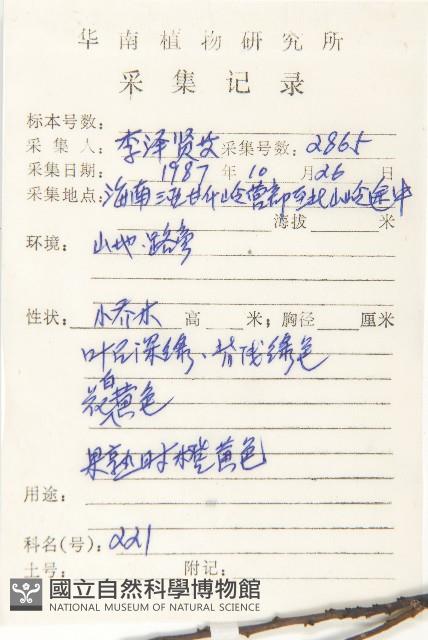 五指山柿藏品圖，第5張