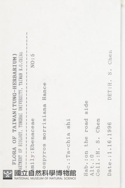 山紅柿藏品圖，第4張