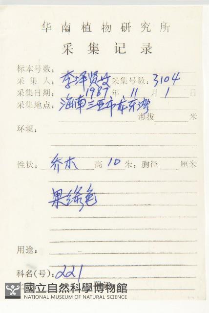 清茶柿藏品圖，第5張