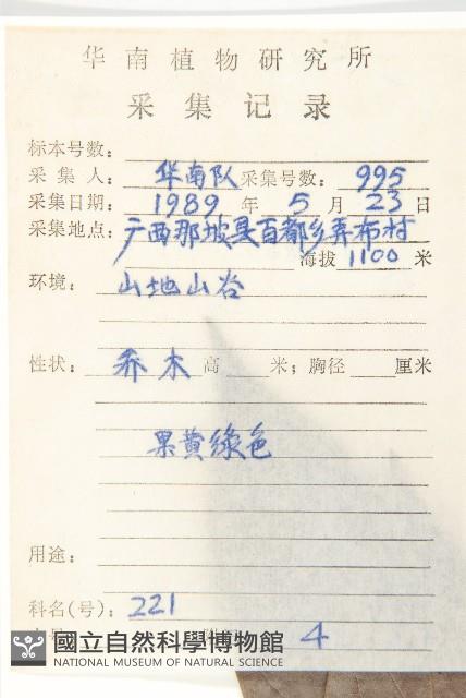 信宜柿藏品圖，第5張