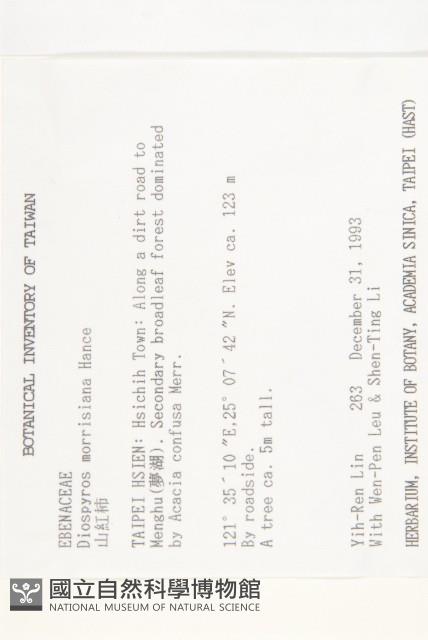 山紅柿藏品圖，第4張