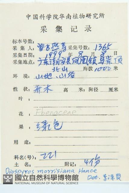 山紅柿藏品圖，第4張