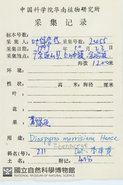 山紅柿藏品圖，第4張