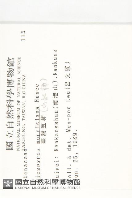 山紅柿藏品圖，第4張