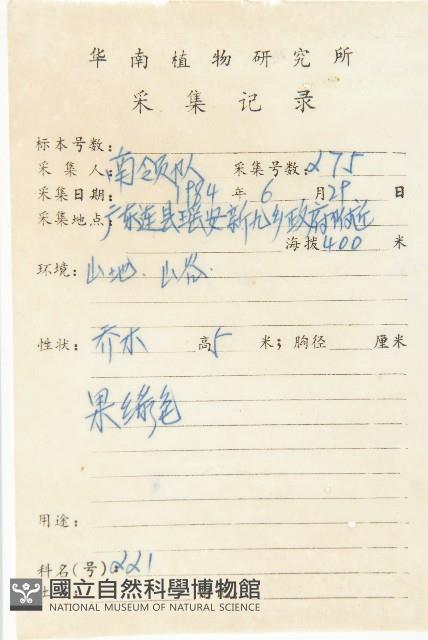 延平柿藏品圖，第5張