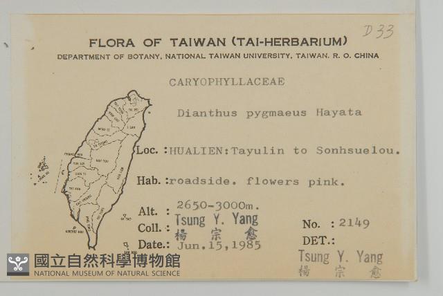 玉山石竹藏品圖，第4張