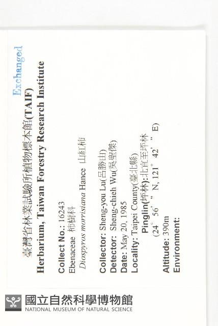 山紅柿藏品圖，第4張