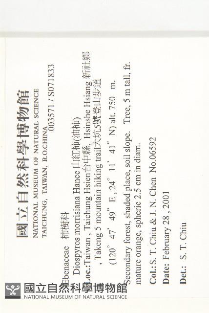 山紅柿藏品圖，第4張